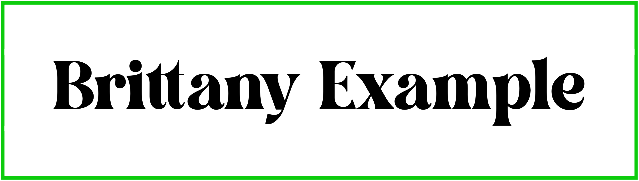 Brittany Example font style ttf download dafont da font font style