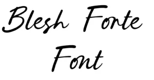Blesh Forte Font